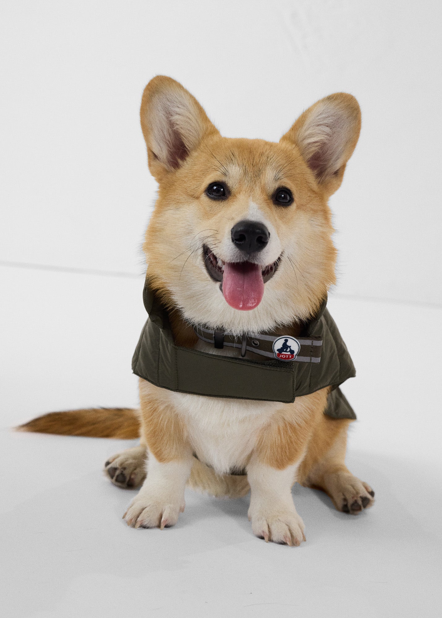 Doudoune pour chien Army Cutie