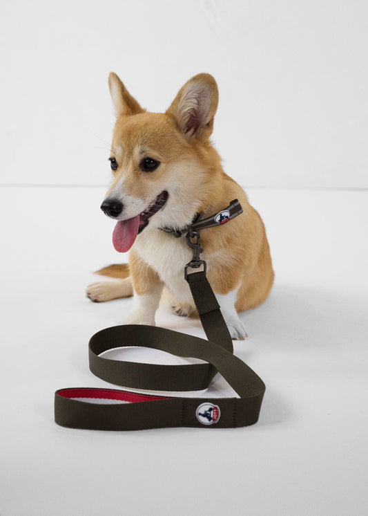 Laisse pour chien Army Max