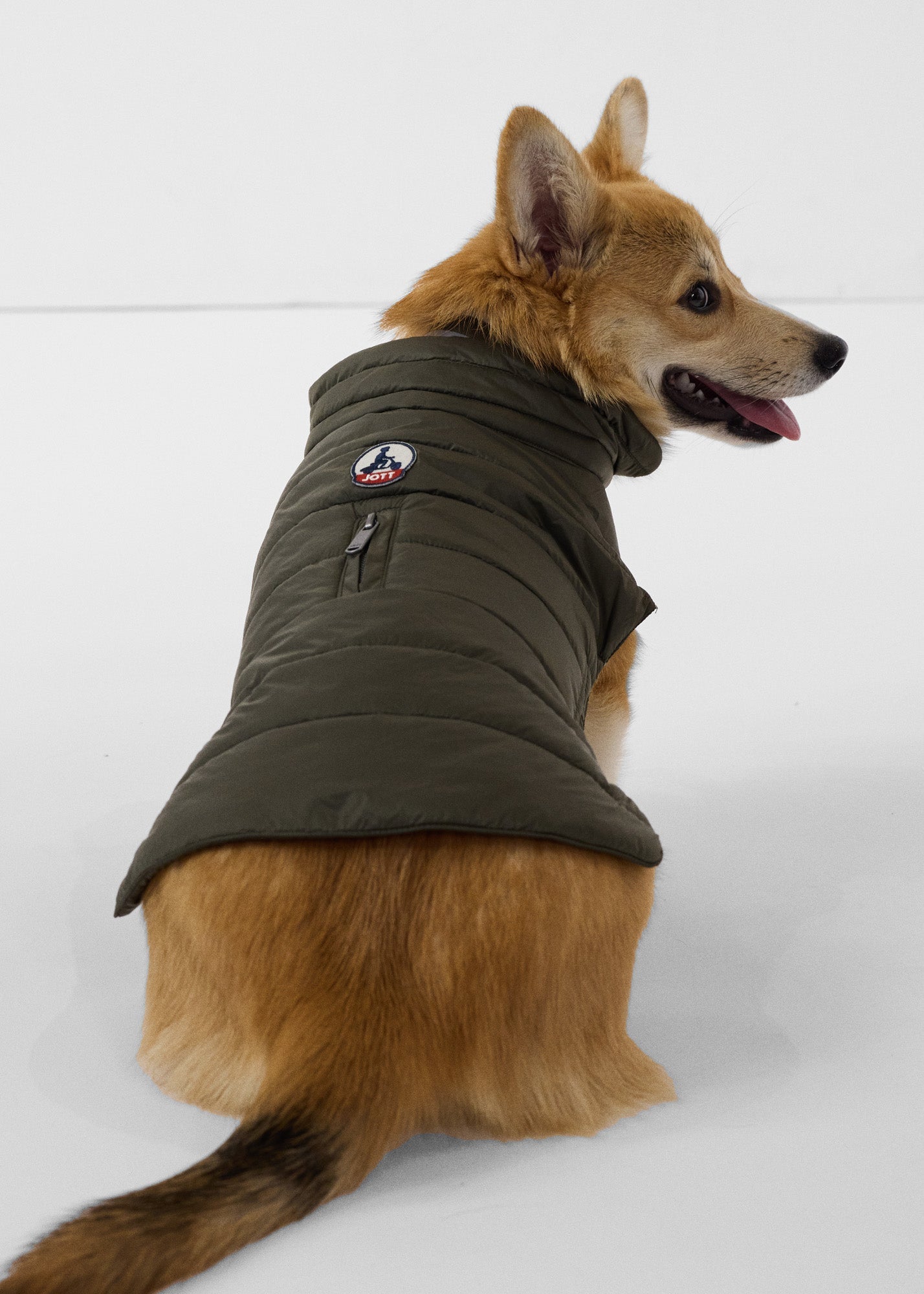 Doudoune pour chien Army Cutie