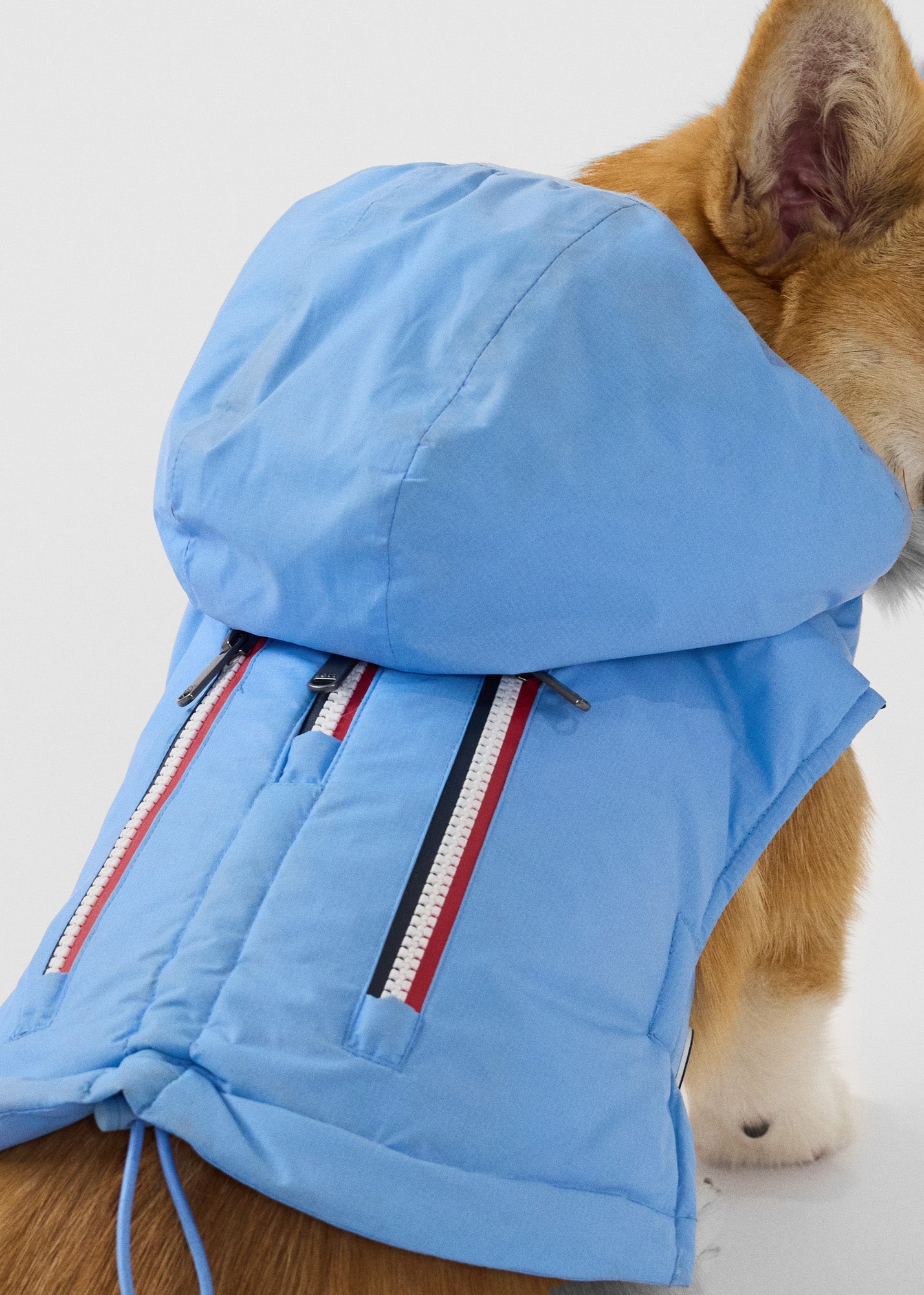 Imperméable pour chien Bleu cristal Balto
